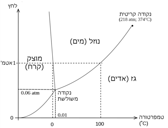 דיאגרמת פאזות